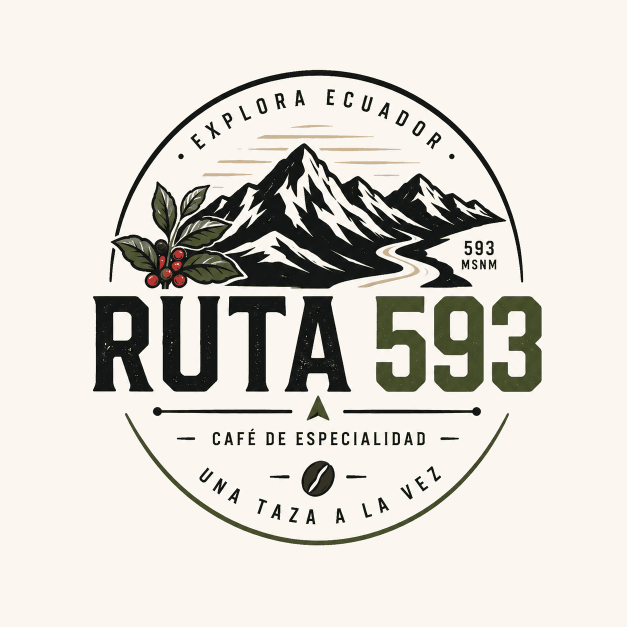 RUTA 593