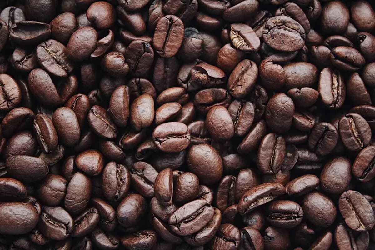Imagen de referencia: granos de café tostado