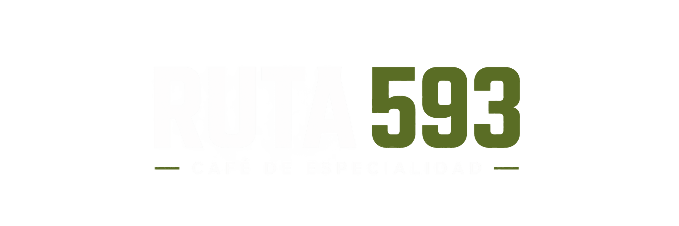 RUTA 593